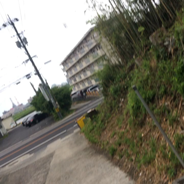 投稿動画サムネイル