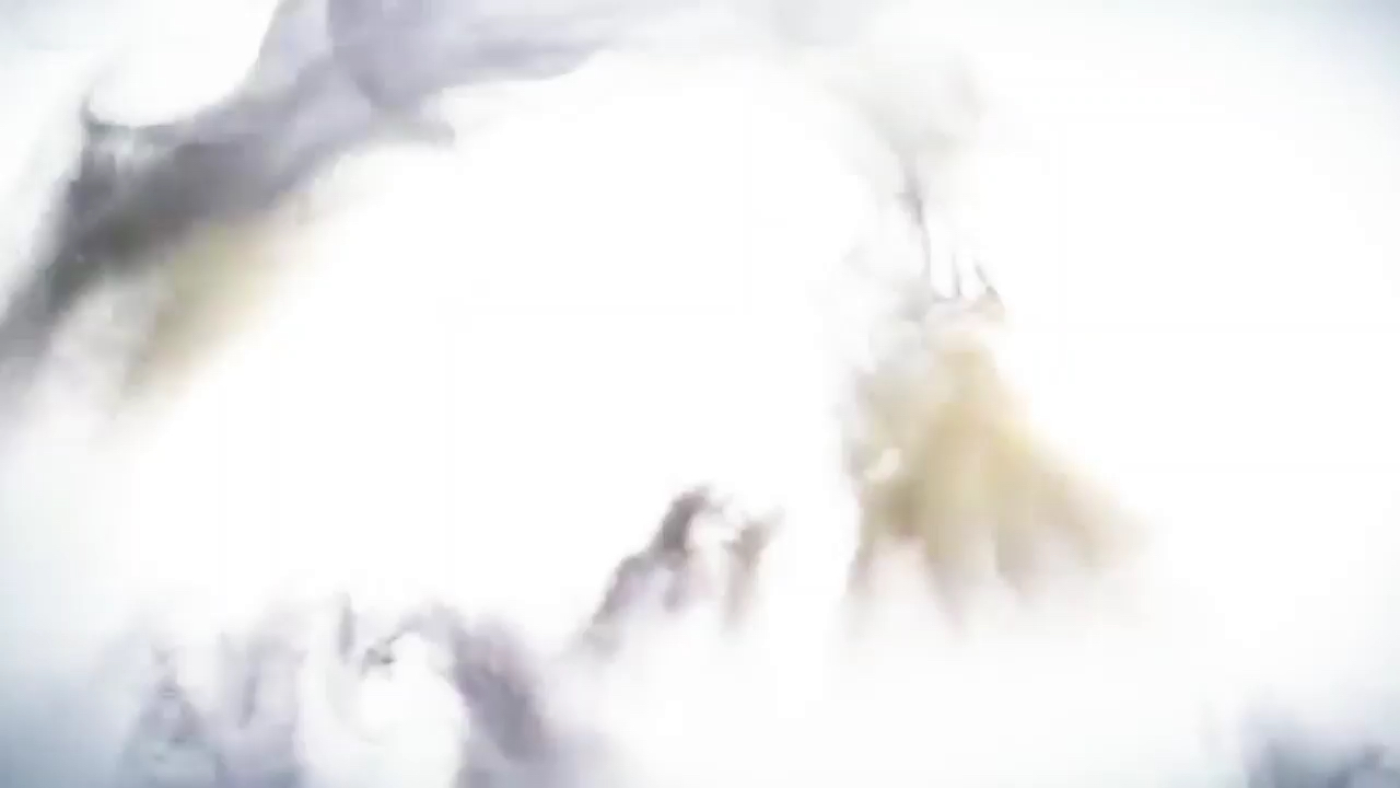 投稿動画サムネイル