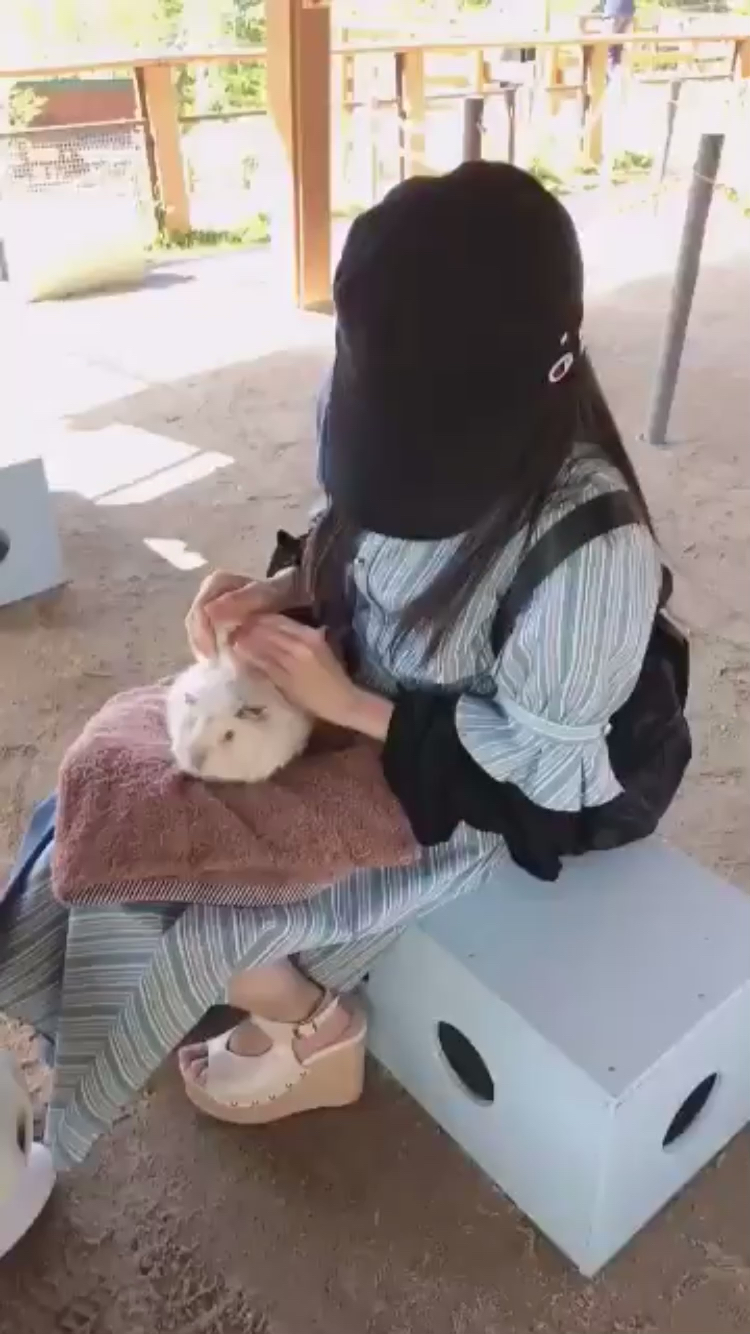 投稿動画サムネイル