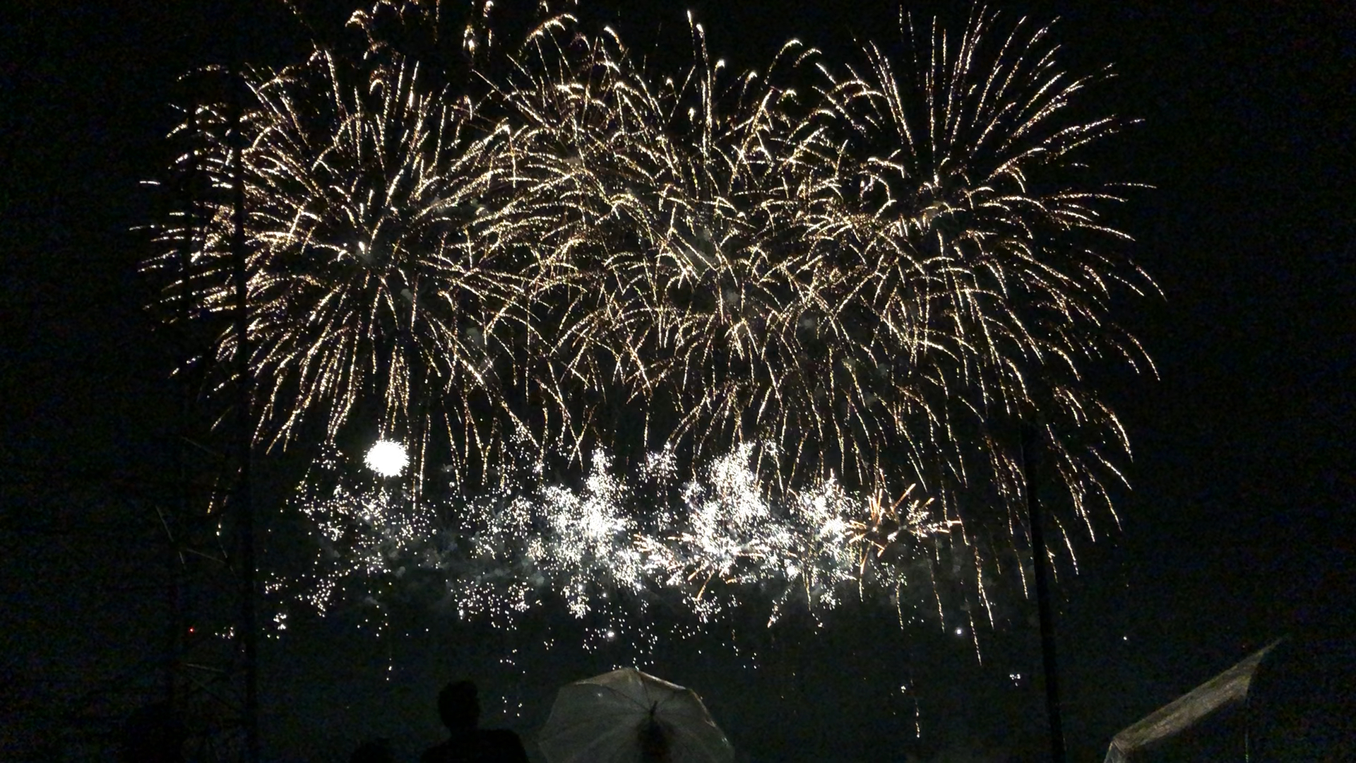 投稿動画サムネイル