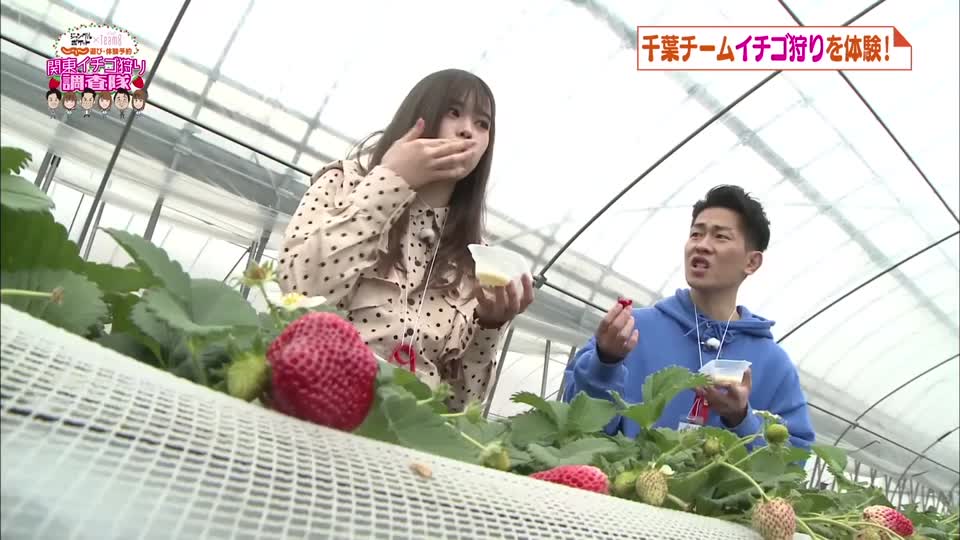 投稿動画サムネイル