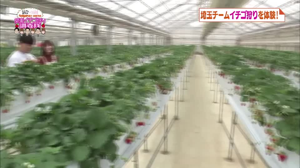 投稿動画サムネイル