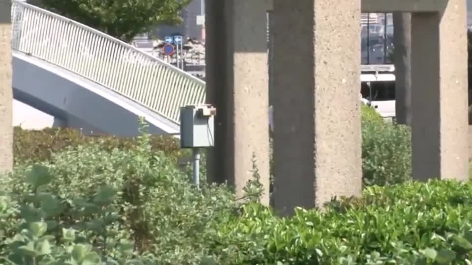 投稿動画サムネイル