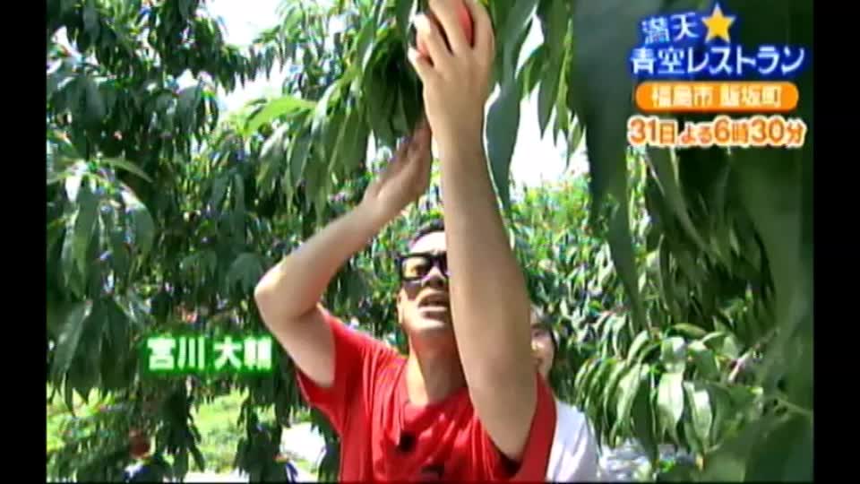 投稿動画サムネイル