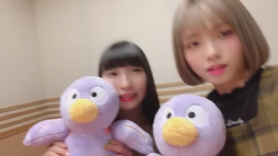 投稿動画サムネイル