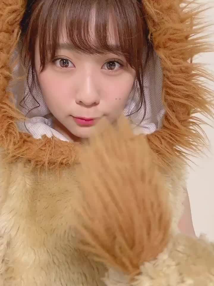 投稿動画サムネイル