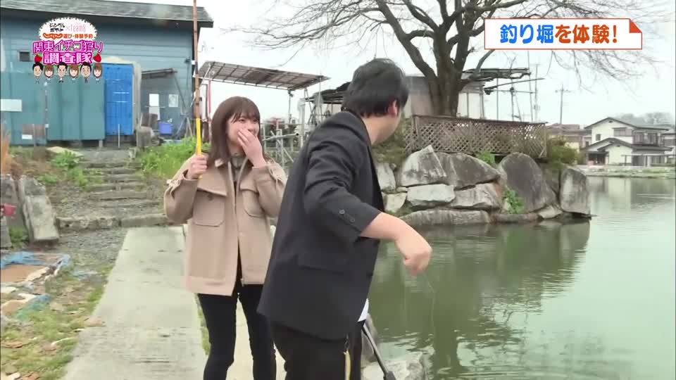 投稿動画サムネイル