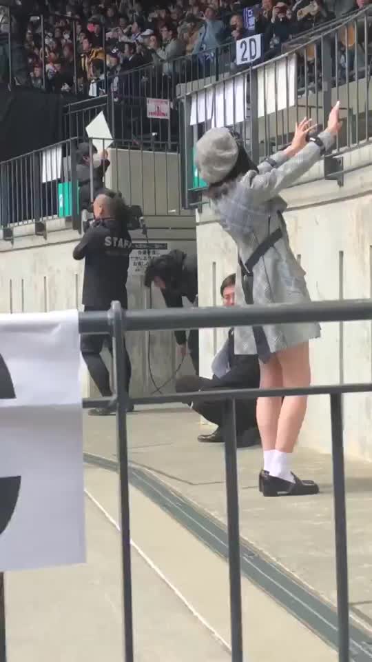 投稿動画サムネイル