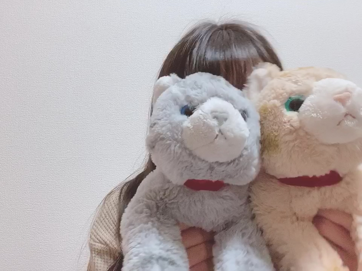 投稿動画サムネイル