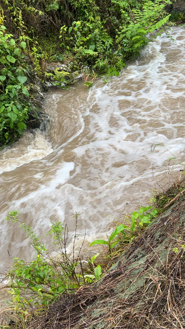 投稿動画サムネイル