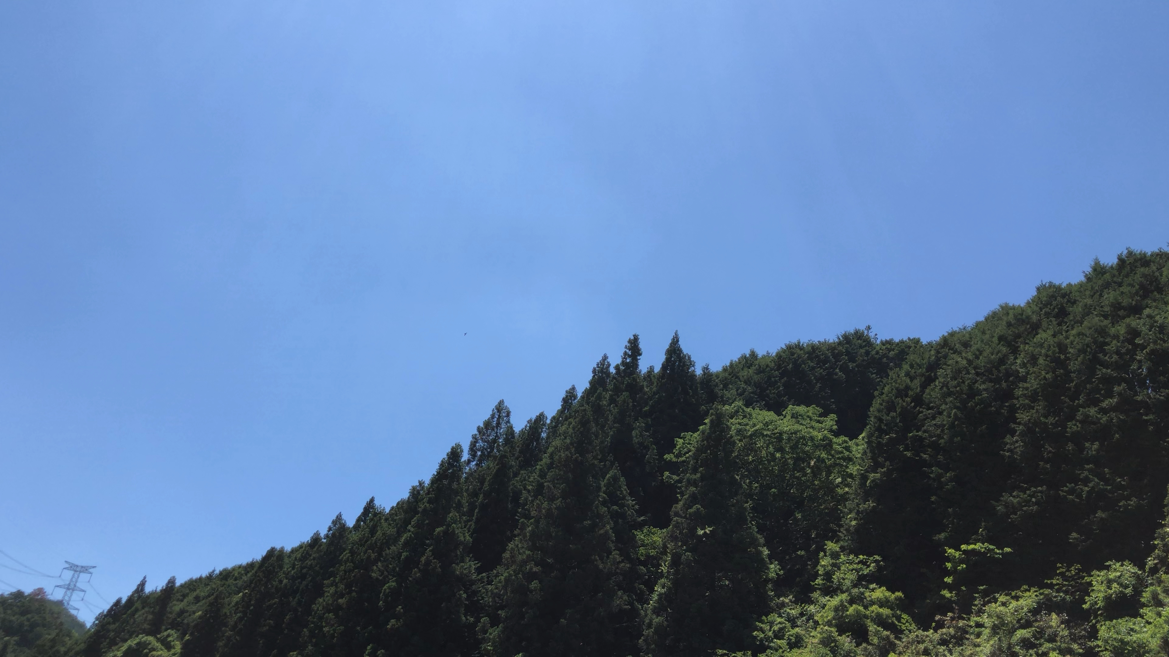 投稿動画サムネイル