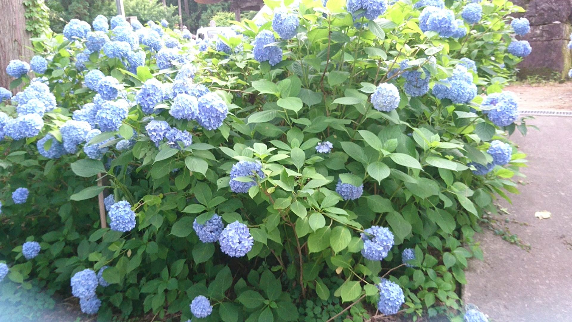 投稿動画サムネイル