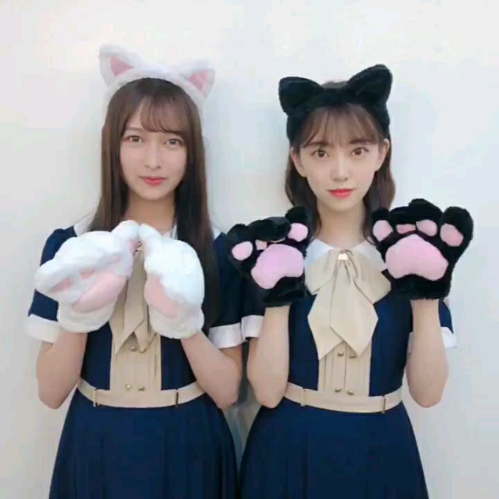 投稿動画サムネイル