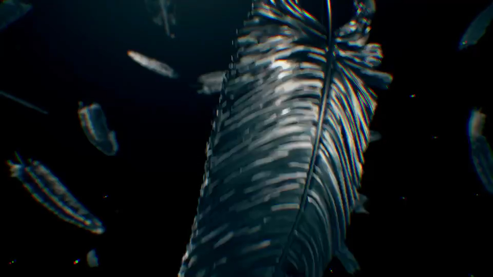 投稿動画サムネイル