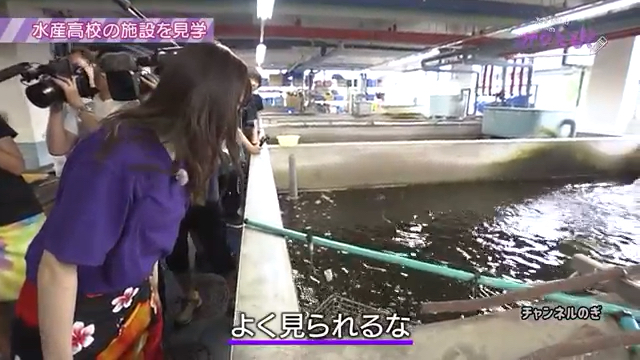 投稿動画サムネイル