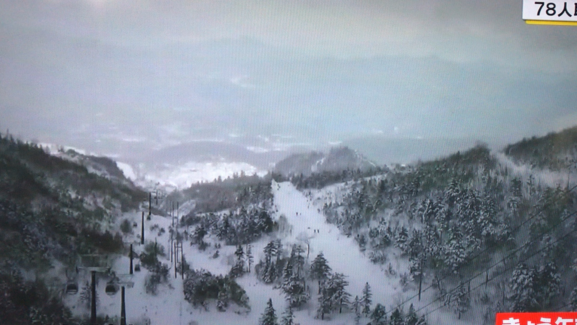 投稿動画サムネイル