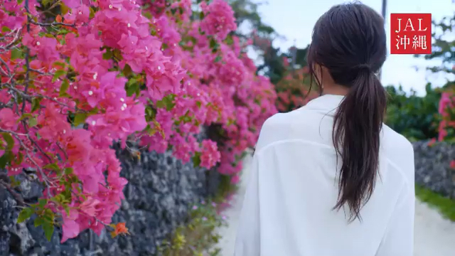 投稿動画サムネイル