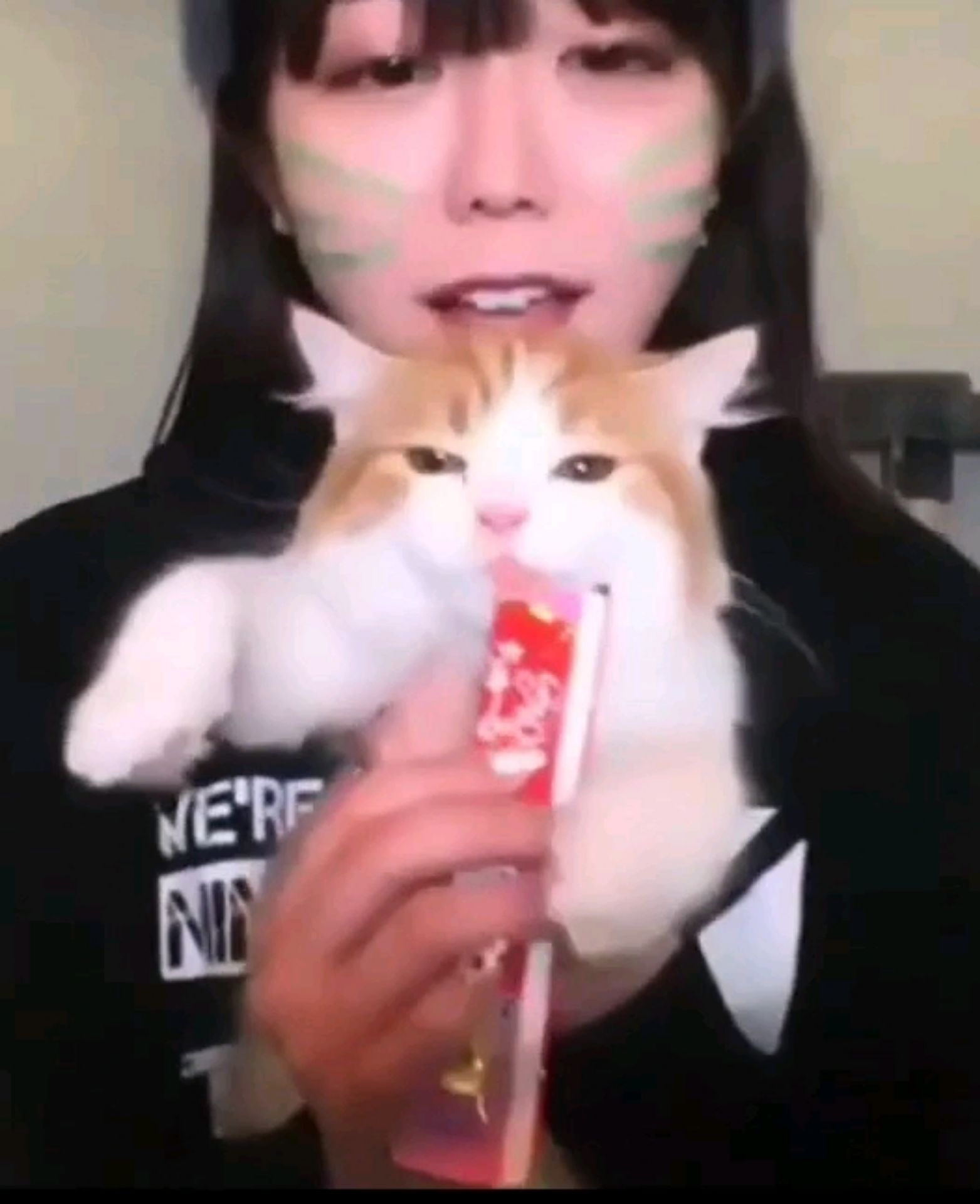 投稿動画サムネイル