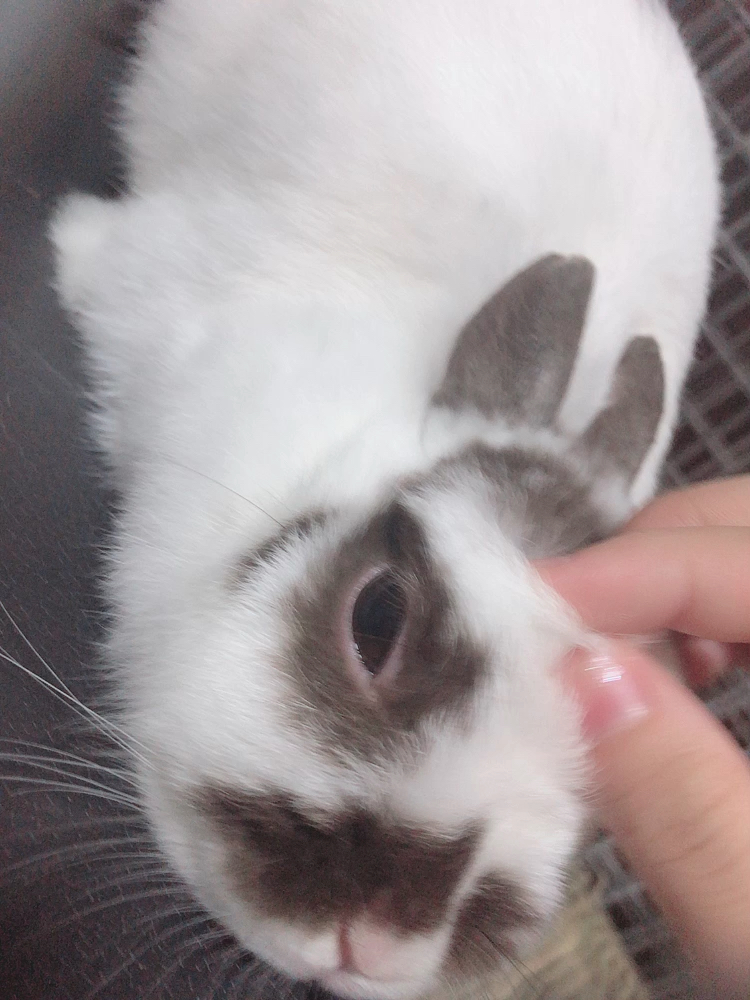 投稿動画サムネイル