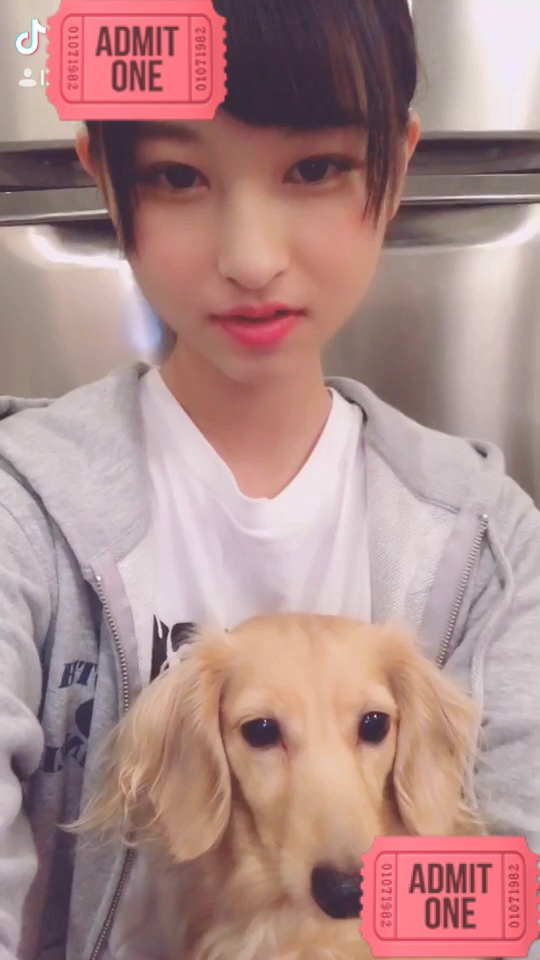 投稿動画サムネイル