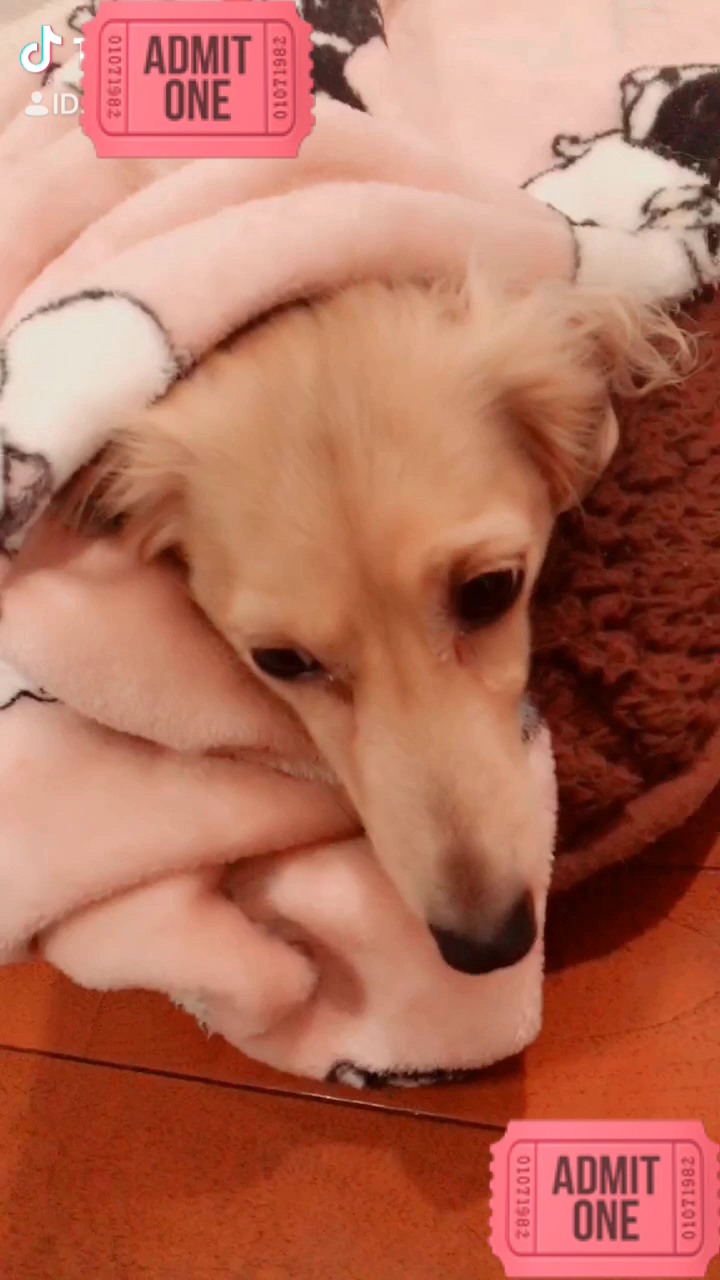 投稿動画サムネイル