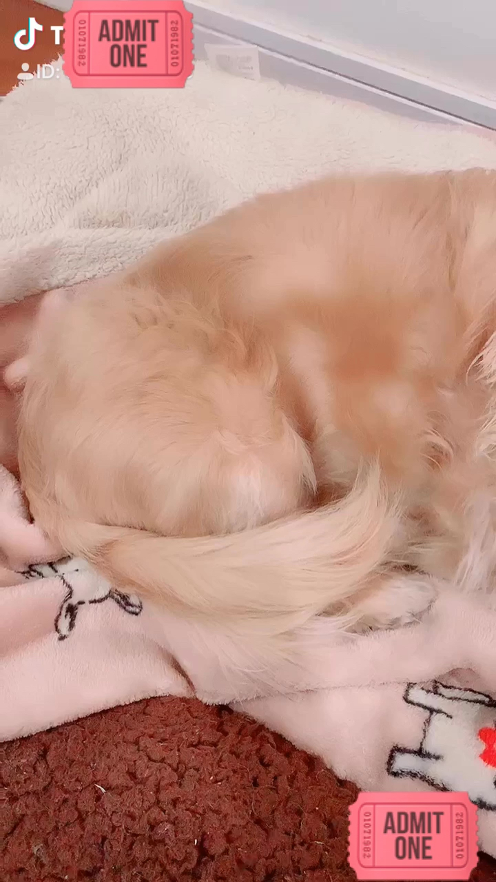 投稿動画サムネイル