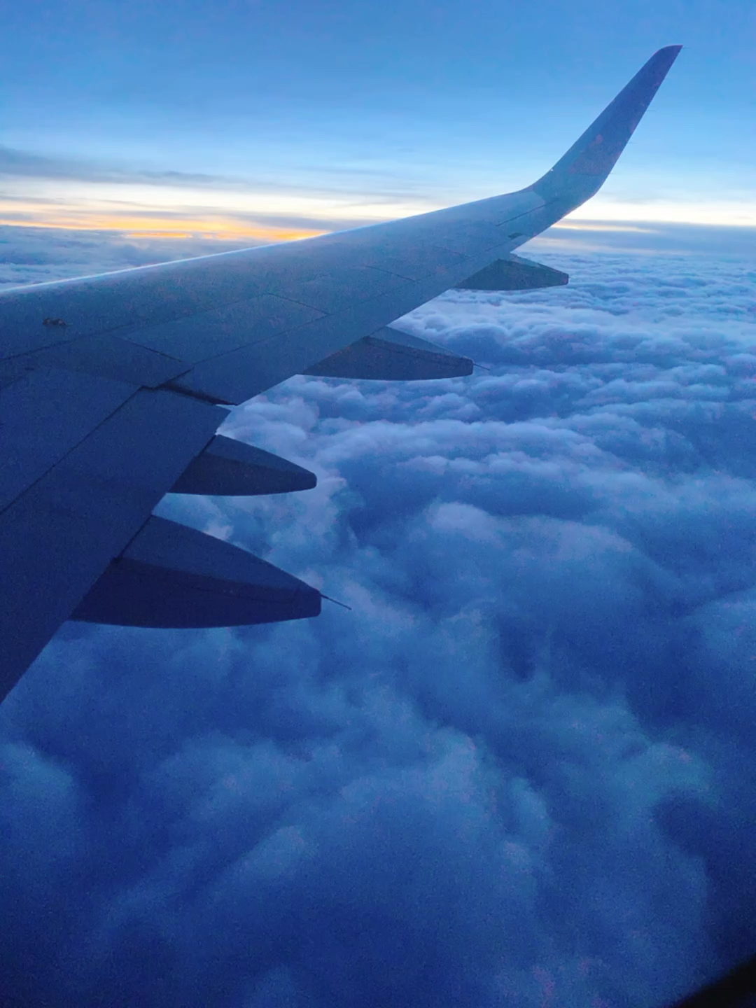 投稿動画サムネイル