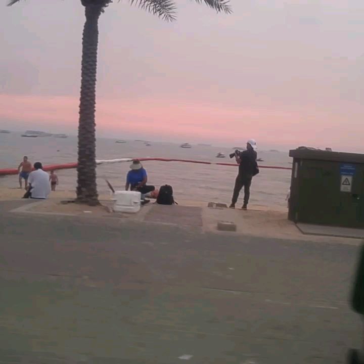 投稿動画サムネイル