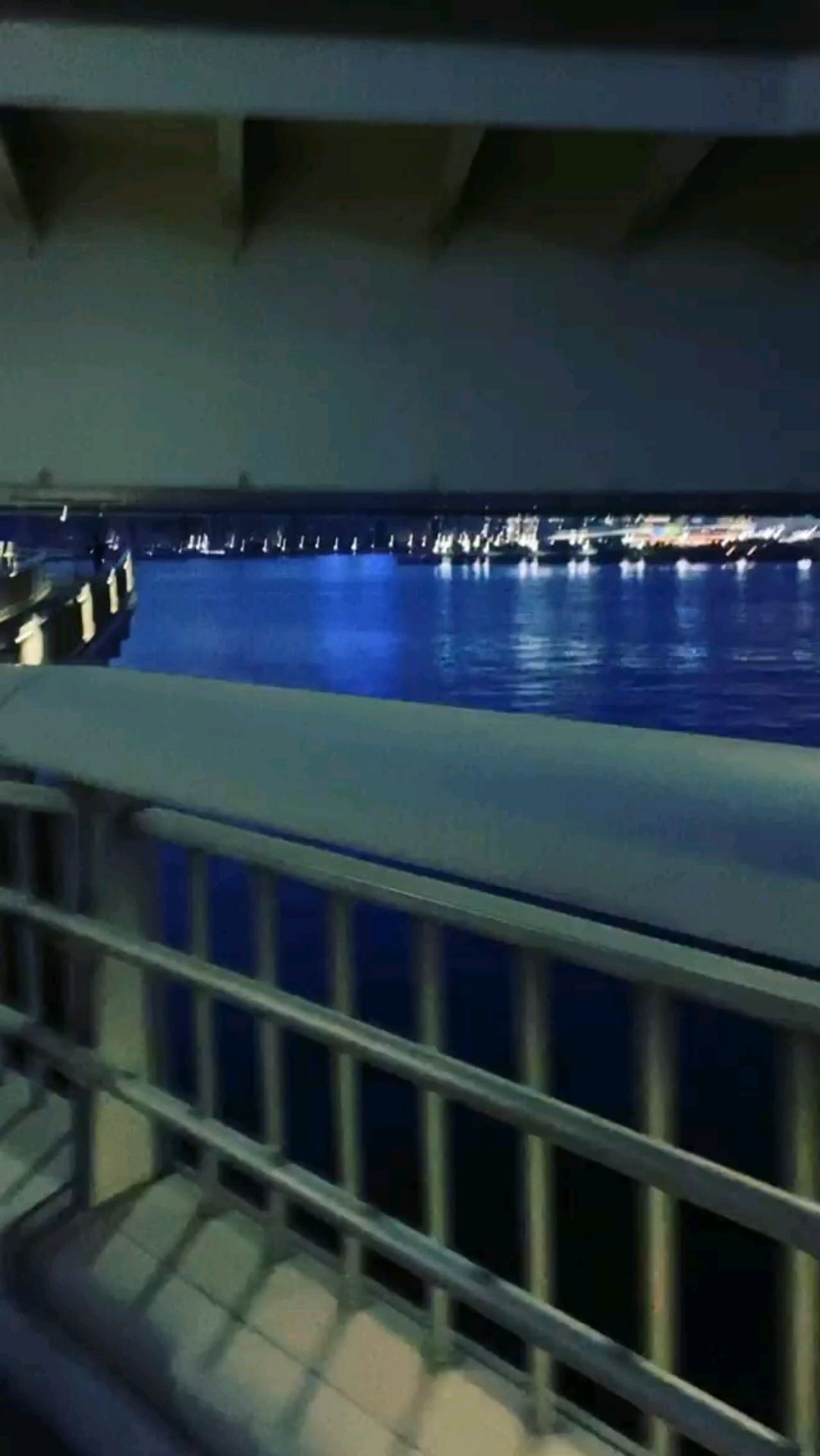 投稿動画サムネイル