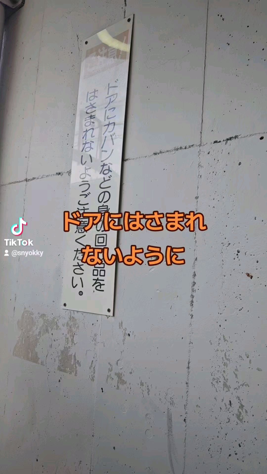 投稿動画サムネイル