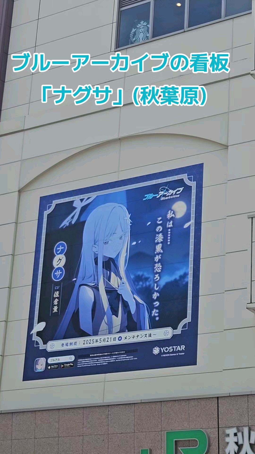 投稿動画サムネイル