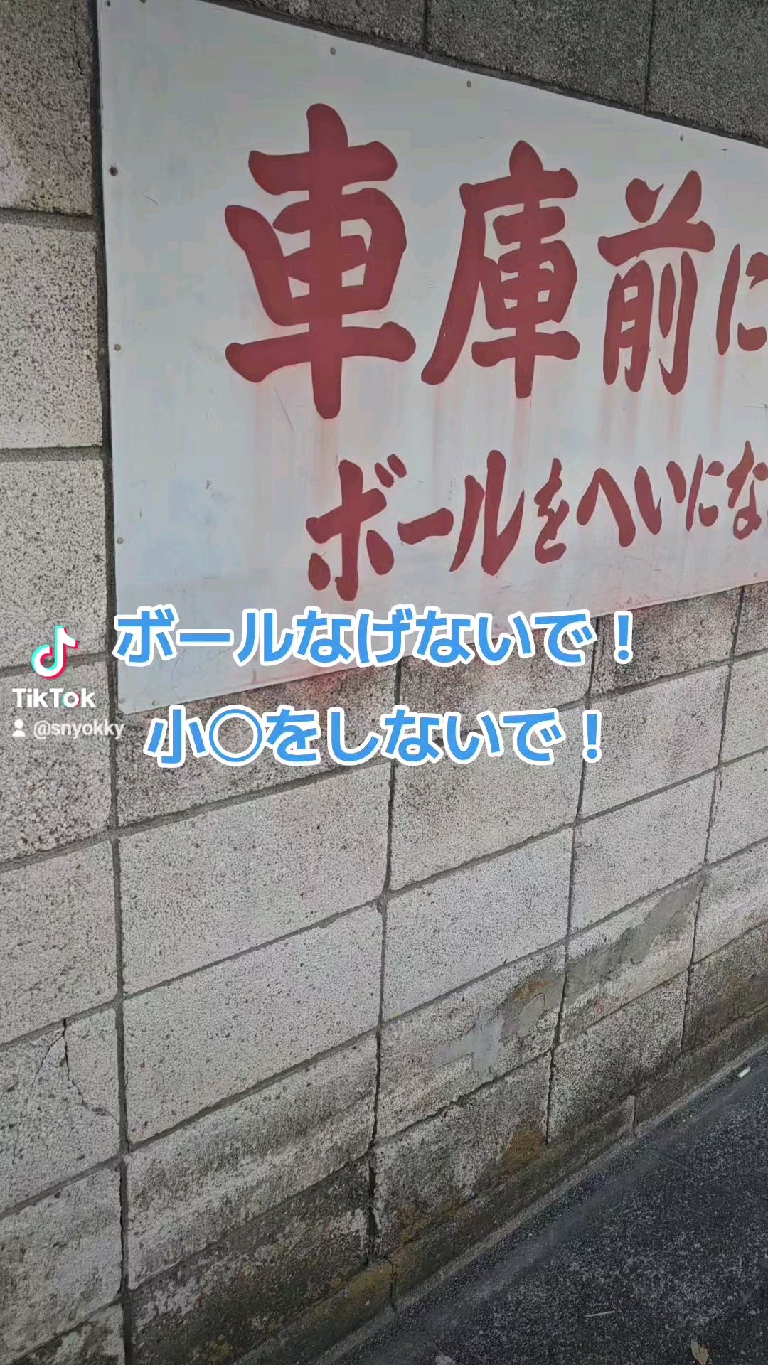 投稿動画サムネイル