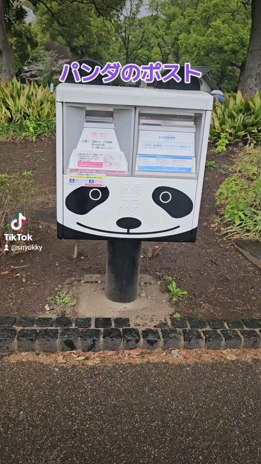 投稿動画サムネイル