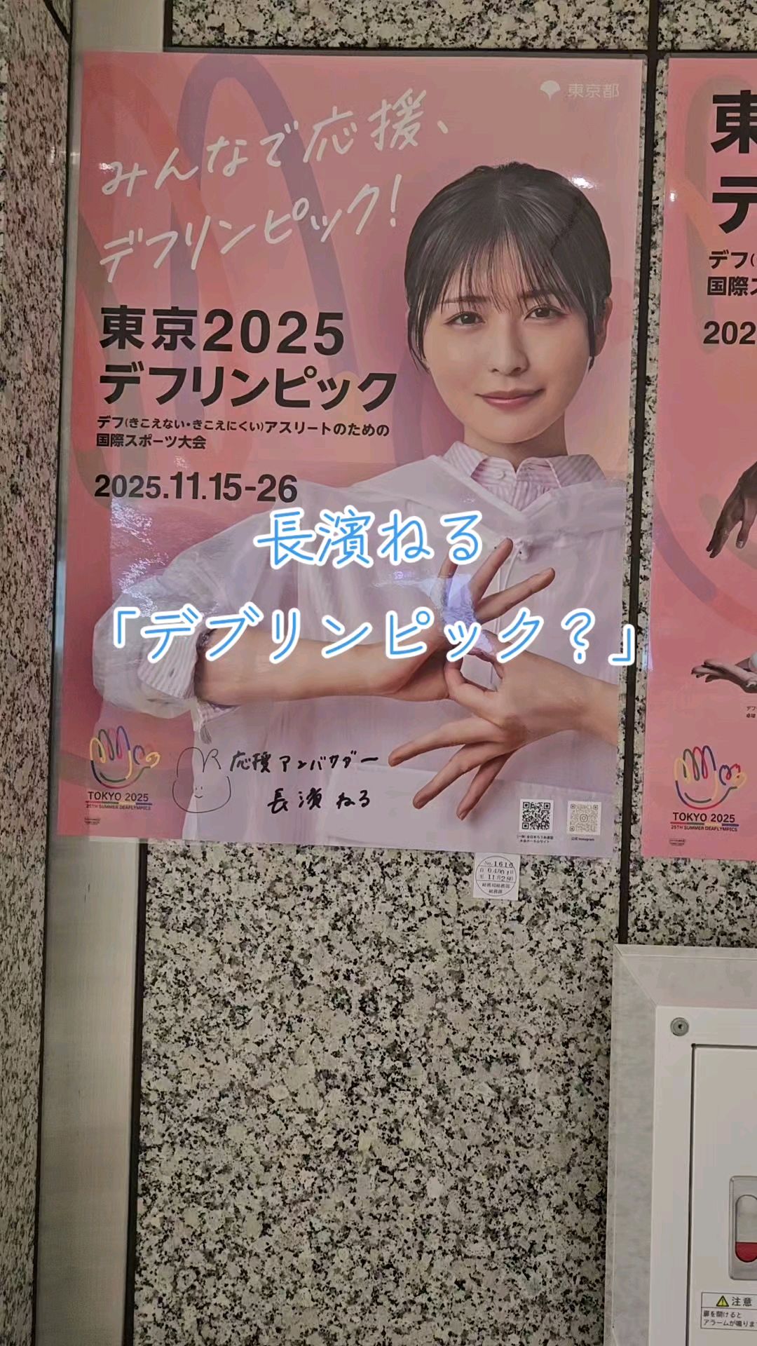 投稿動画サムネイル