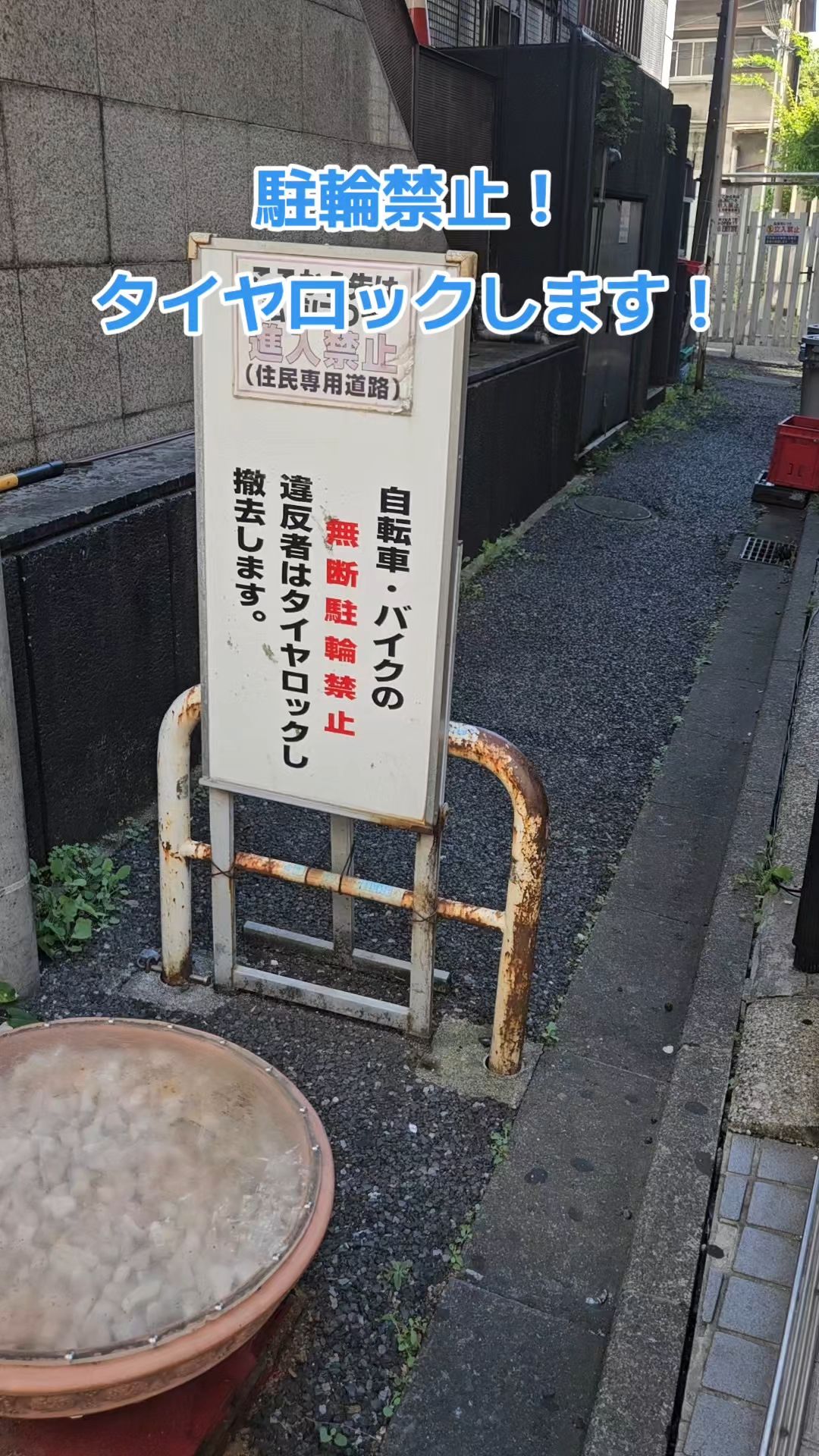 投稿動画サムネイル