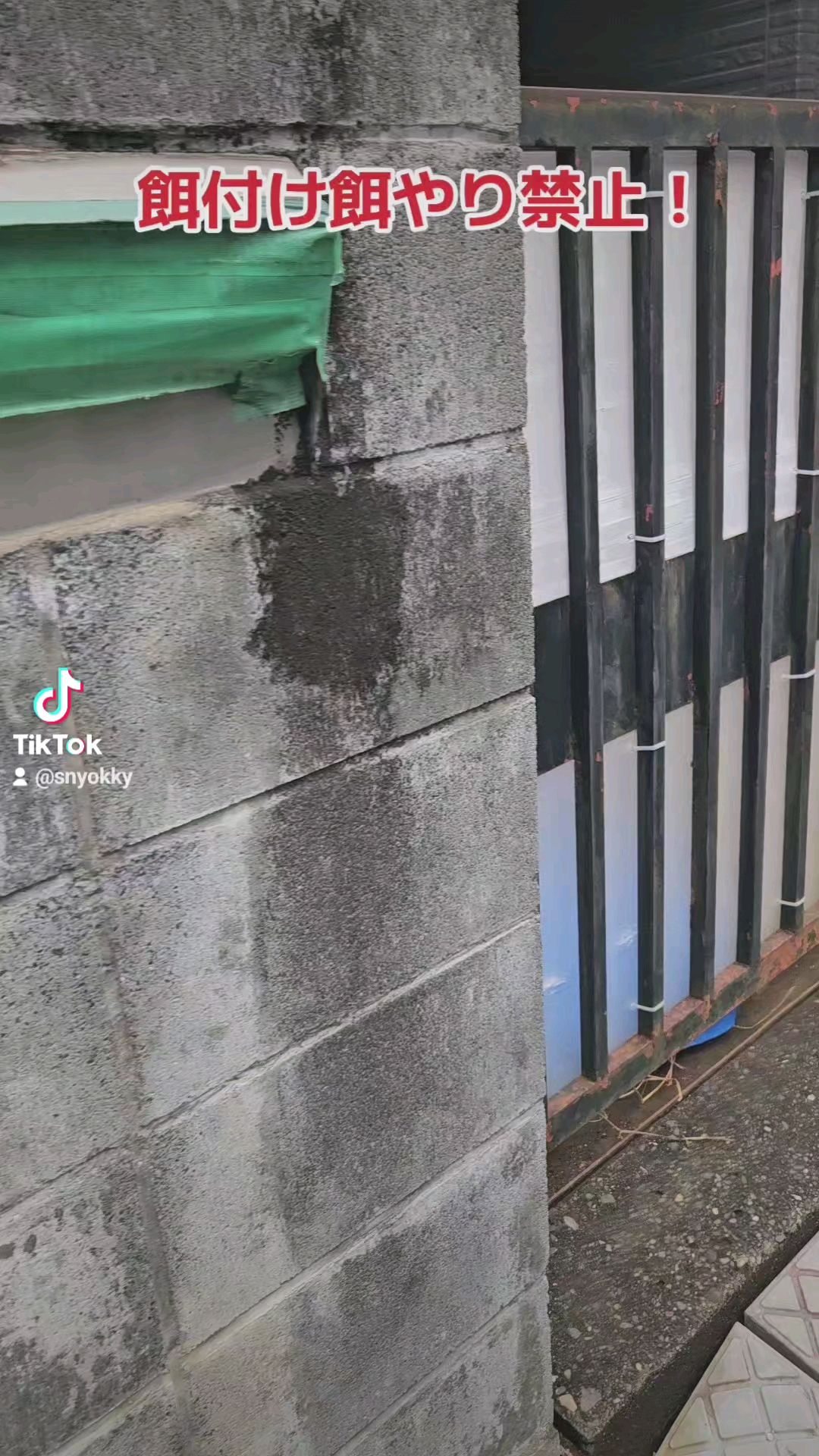 投稿動画サムネイル