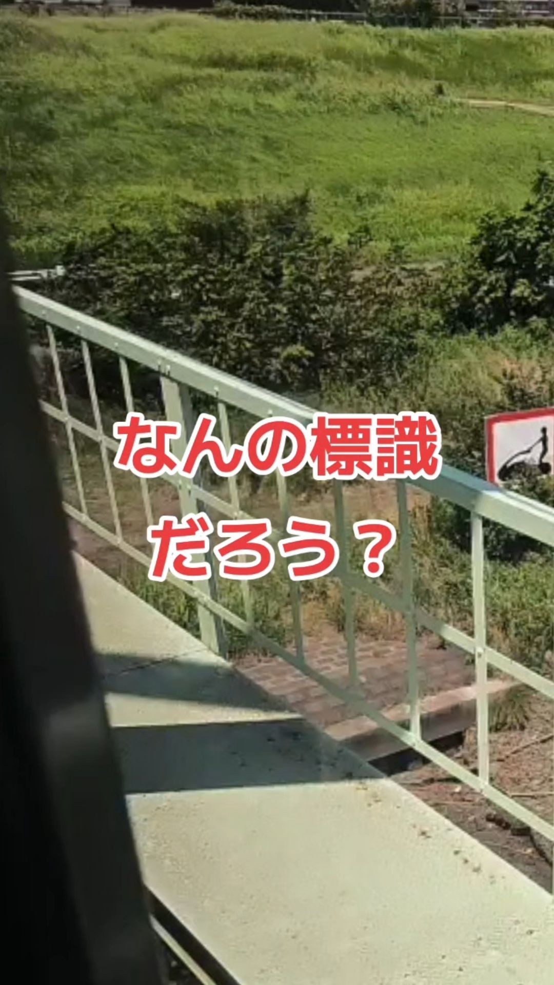 投稿動画サムネイル