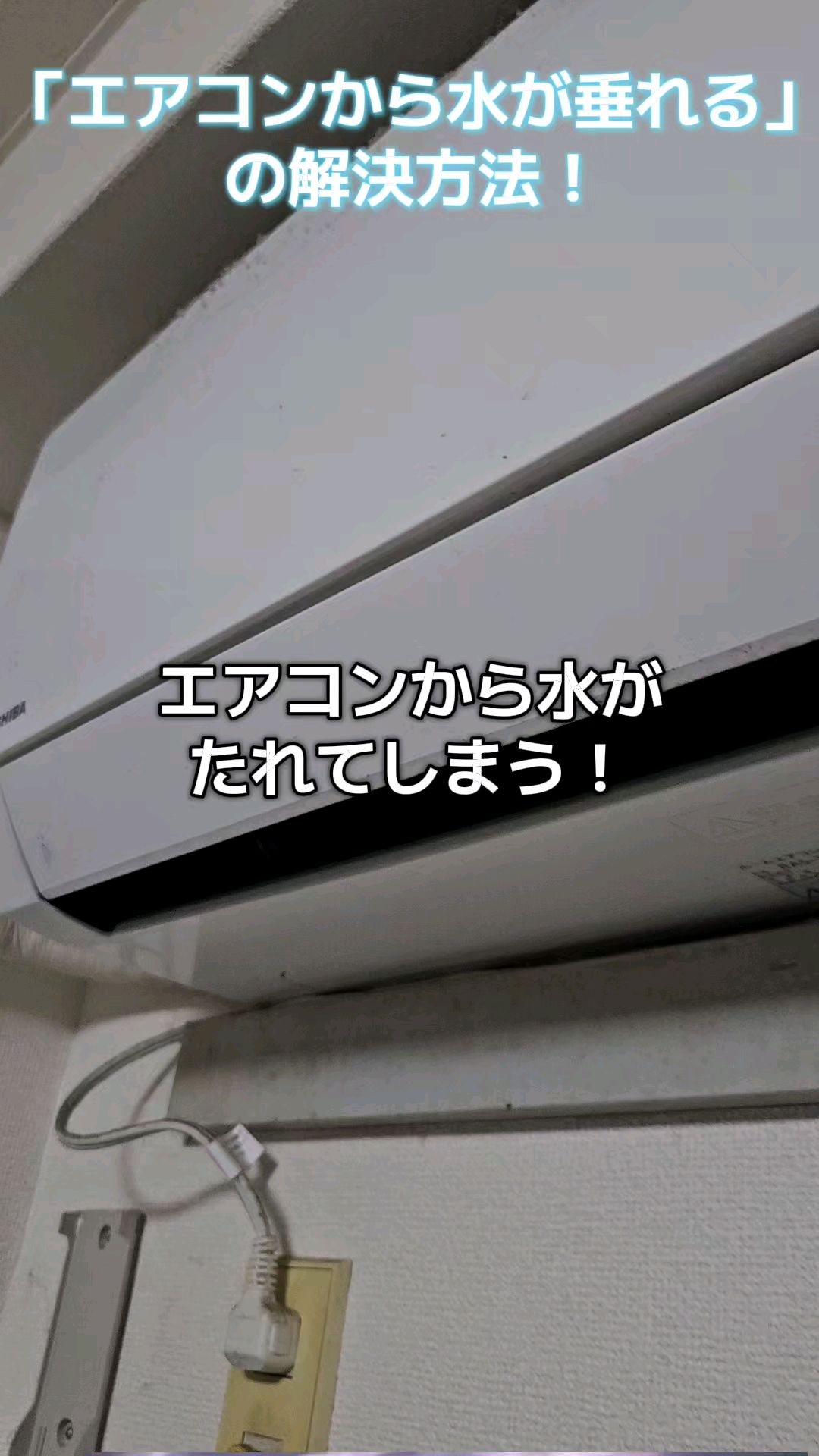 投稿動画サムネイル