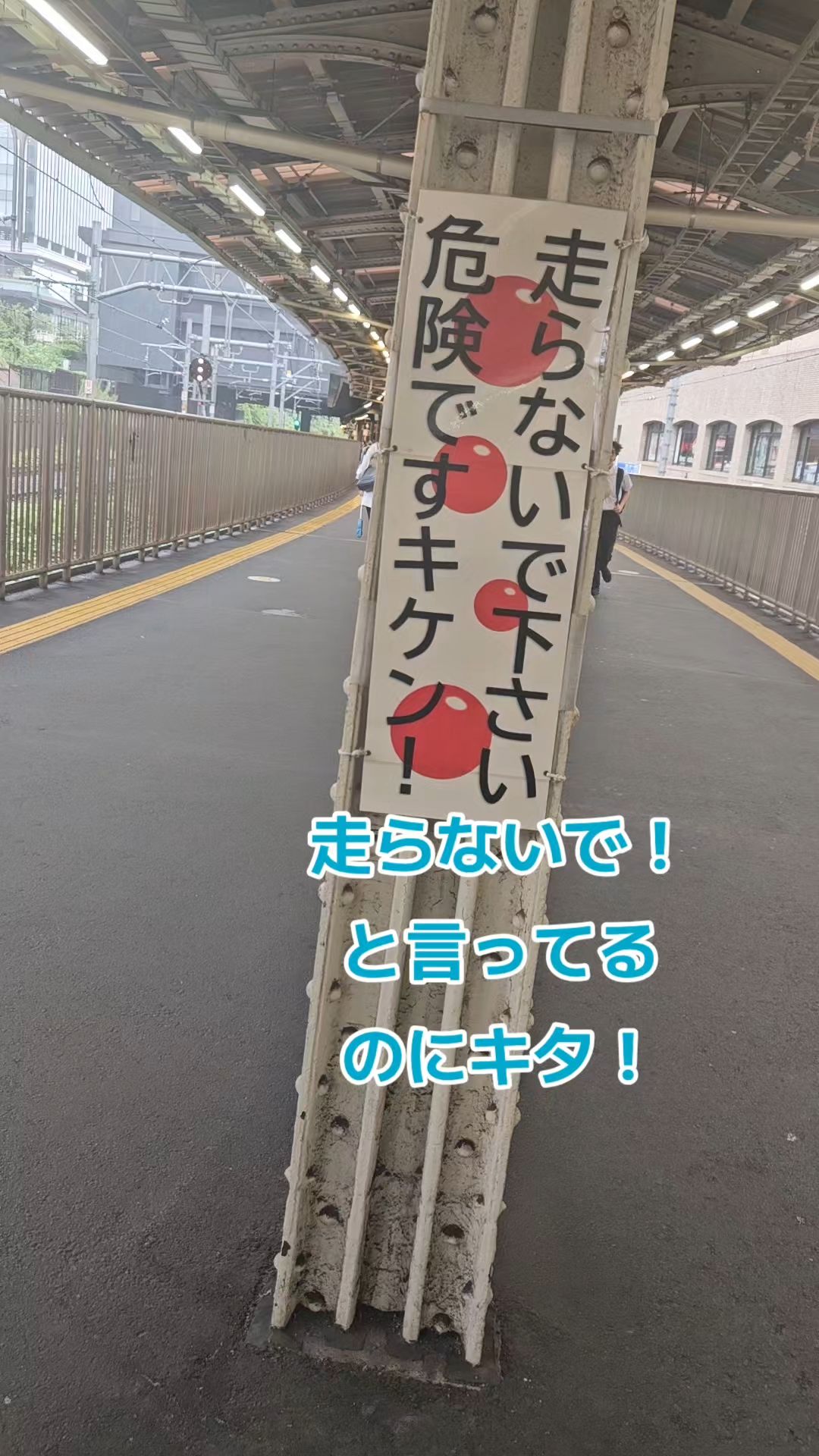 投稿動画サムネイル