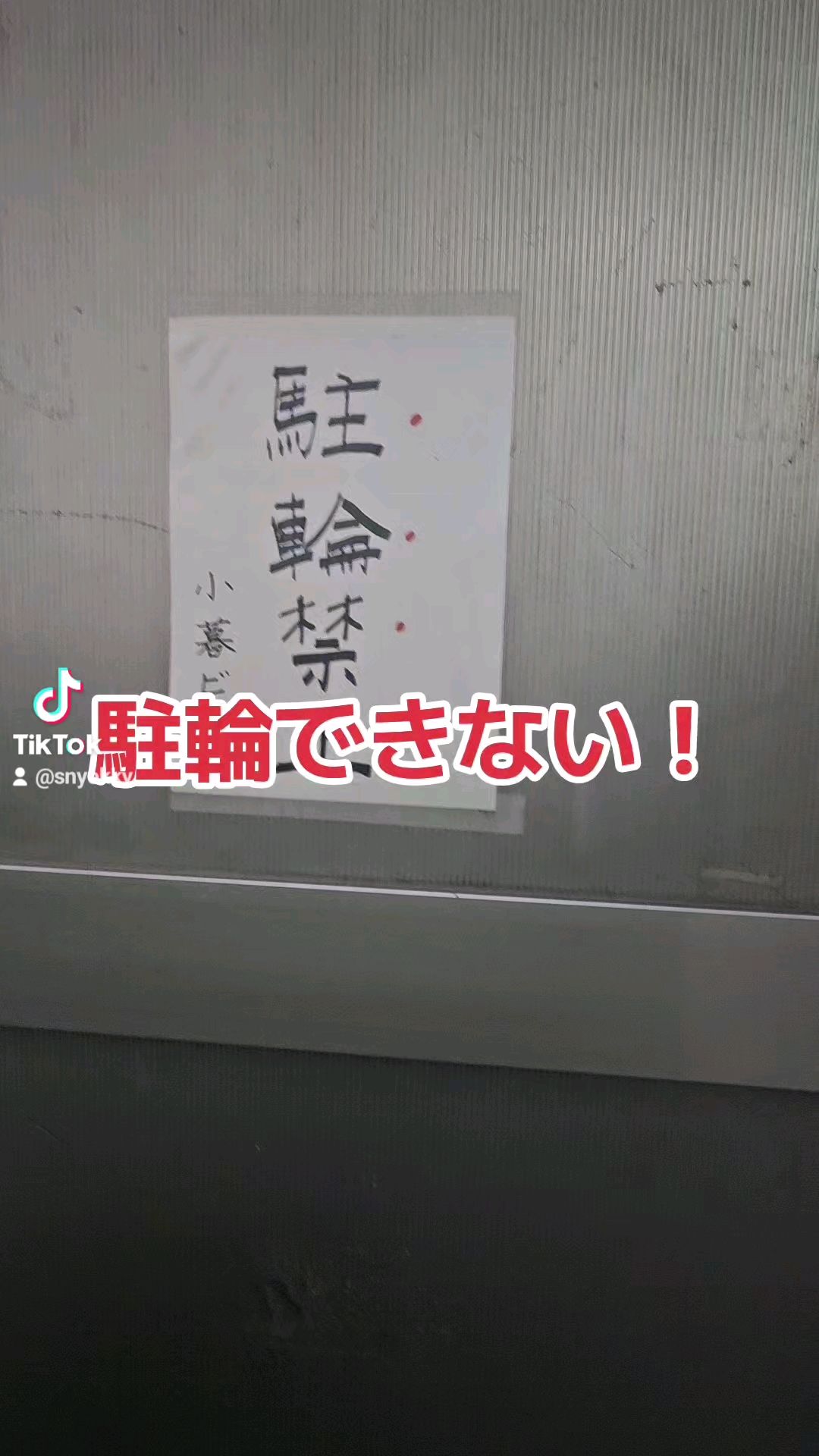 投稿動画サムネイル