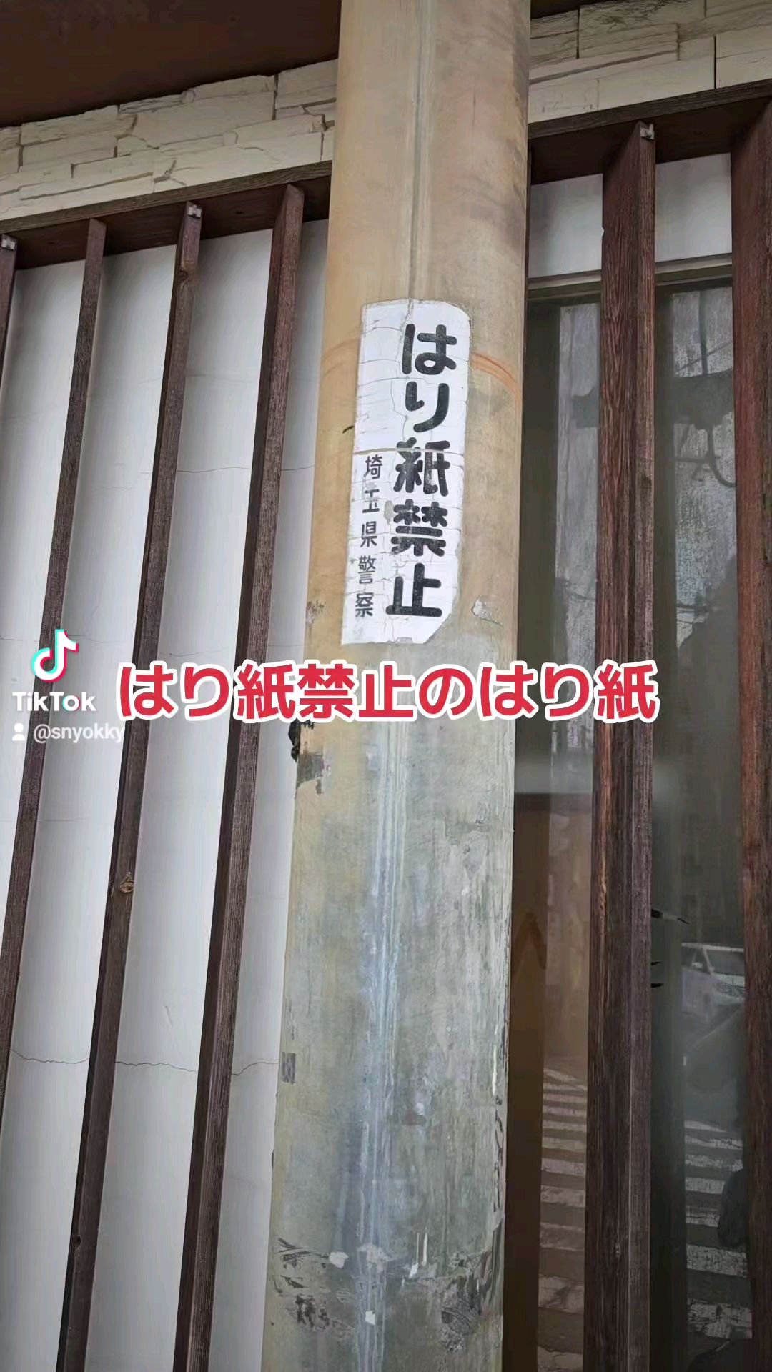 投稿動画サムネイル