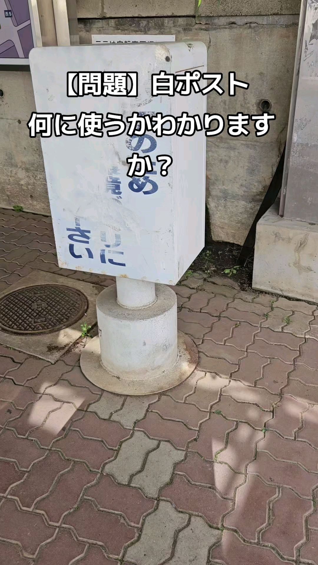 投稿動画サムネイル
