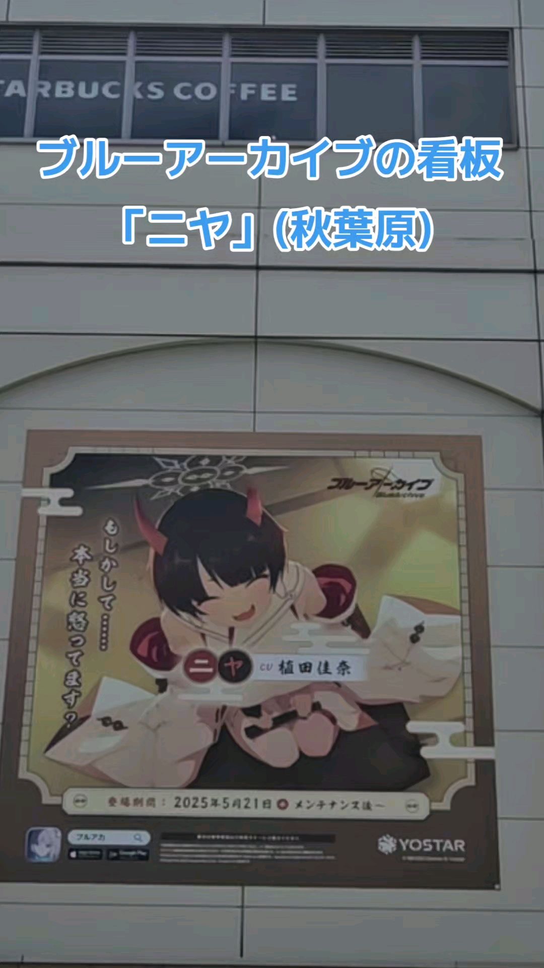 投稿動画サムネイル