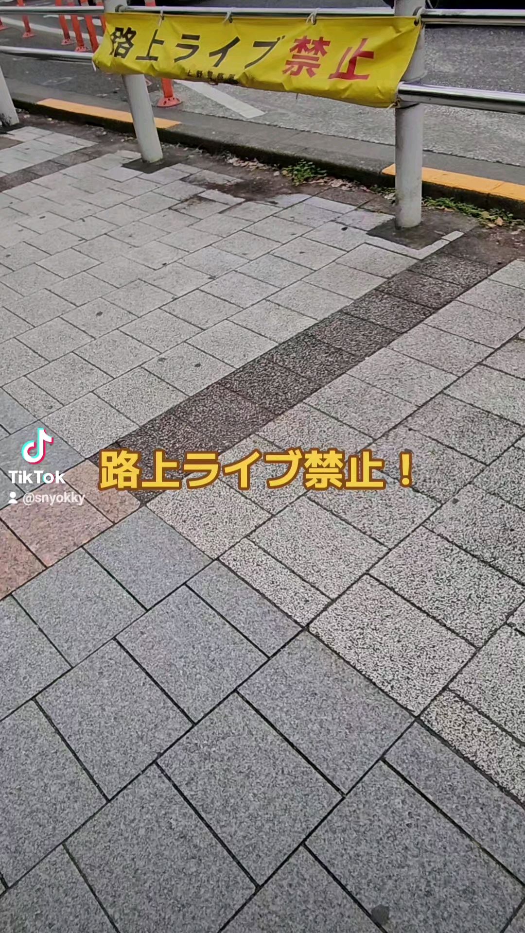投稿動画サムネイル