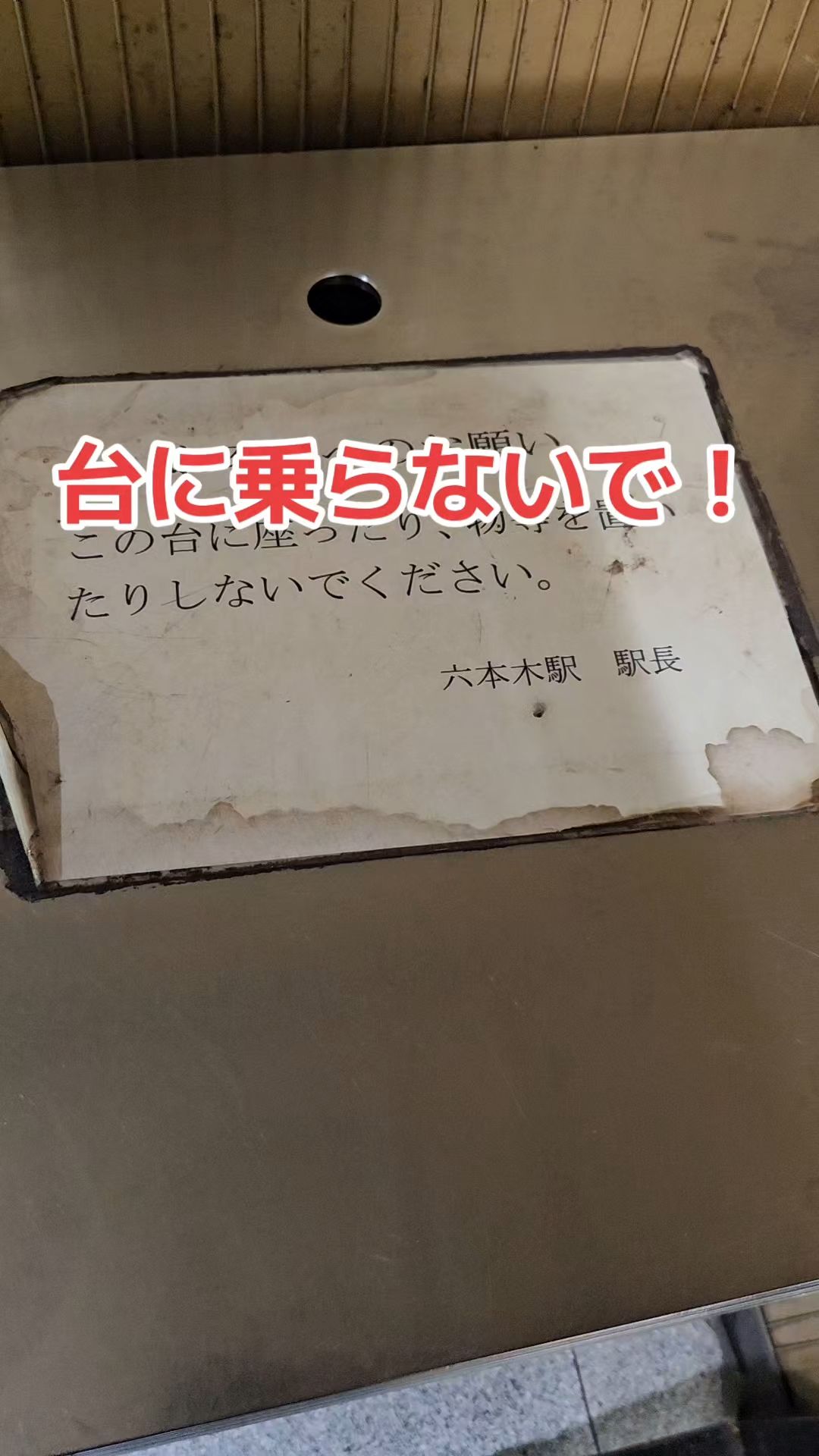 投稿動画サムネイル