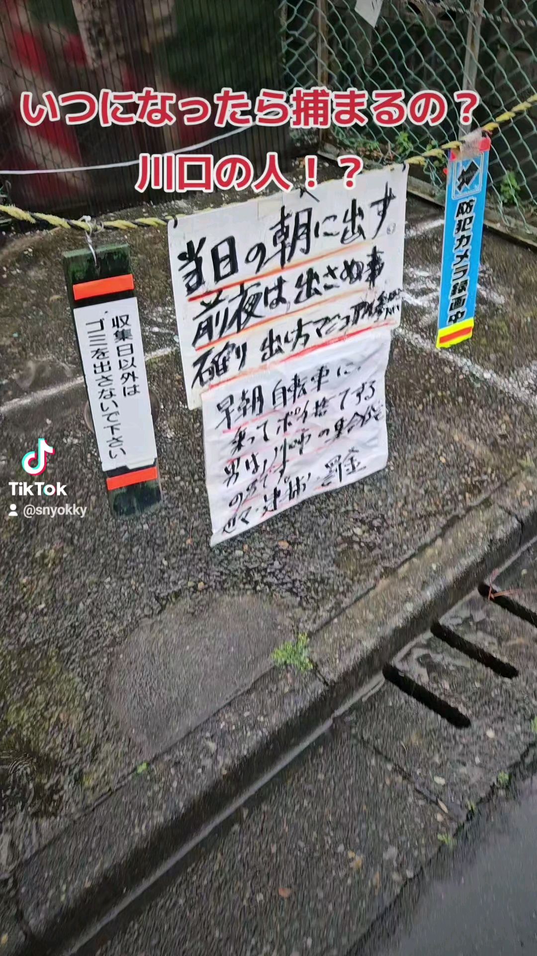 投稿動画サムネイル