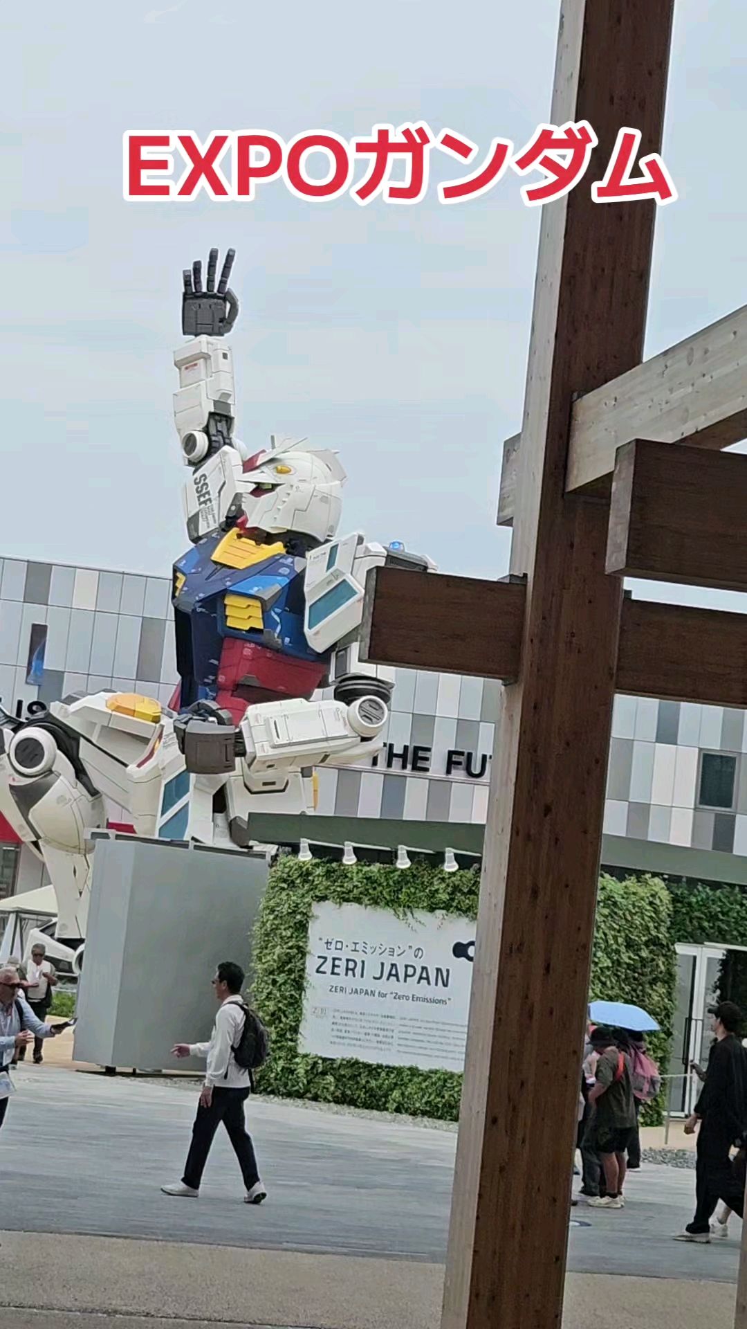 投稿動画サムネイル