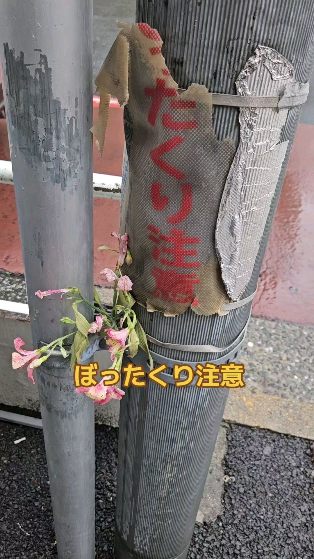 投稿動画サムネイル