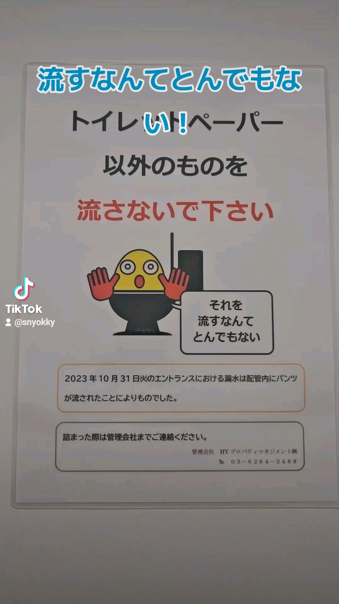 投稿動画サムネイル