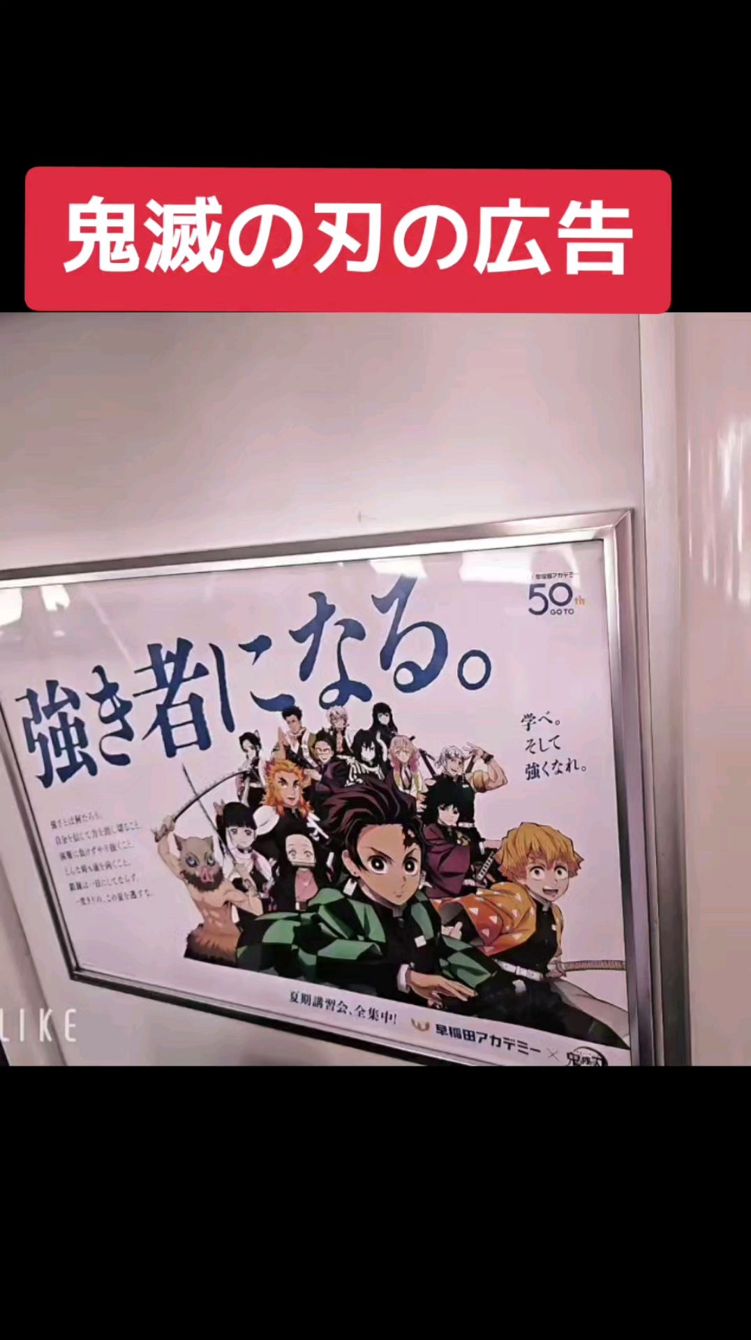 投稿動画サムネイル